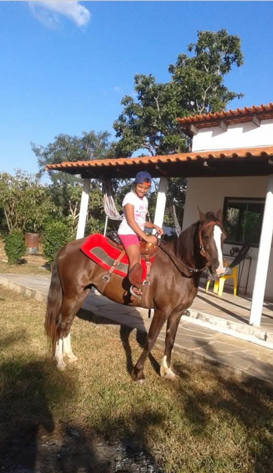 Cavalos & Passeio Montado
