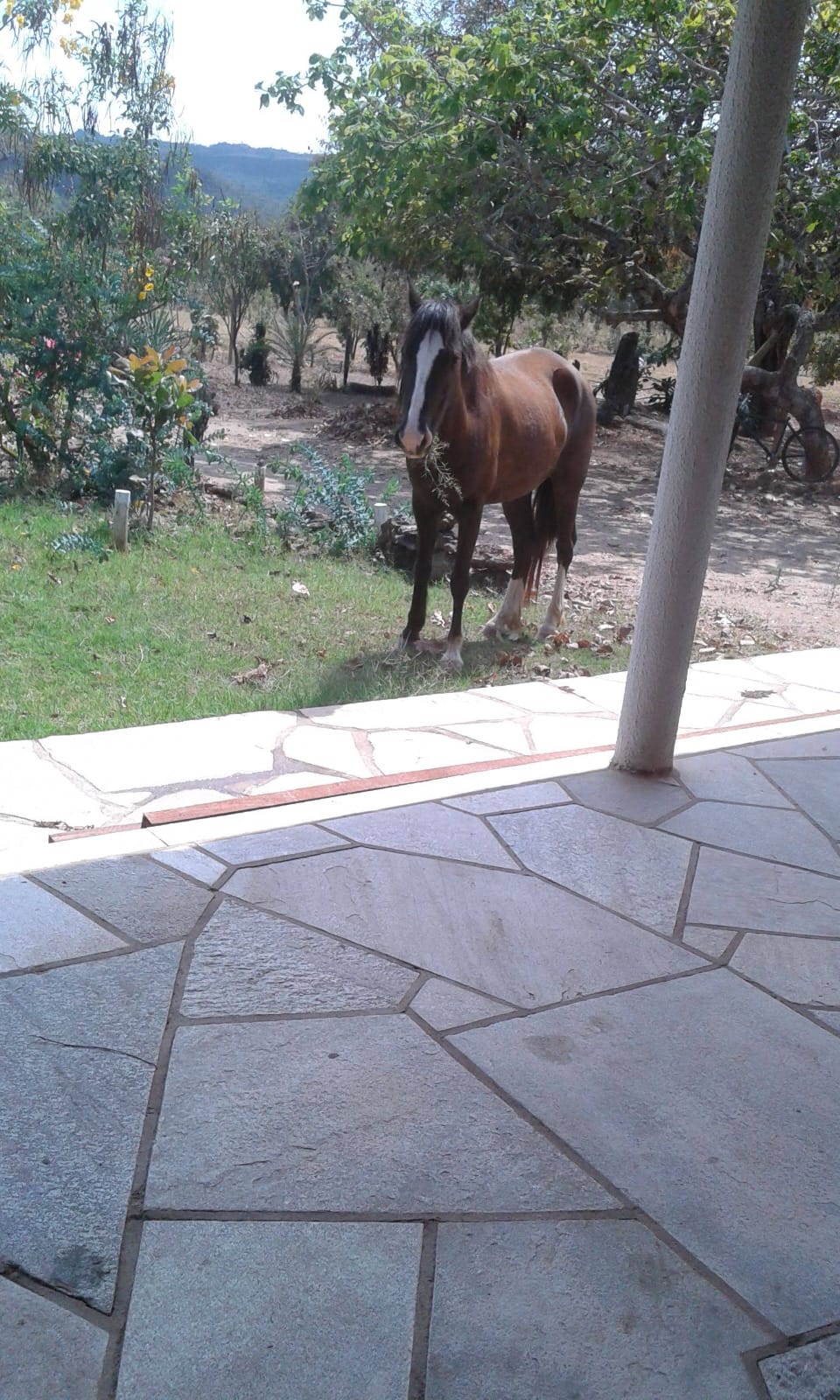 Natureza e Convivência